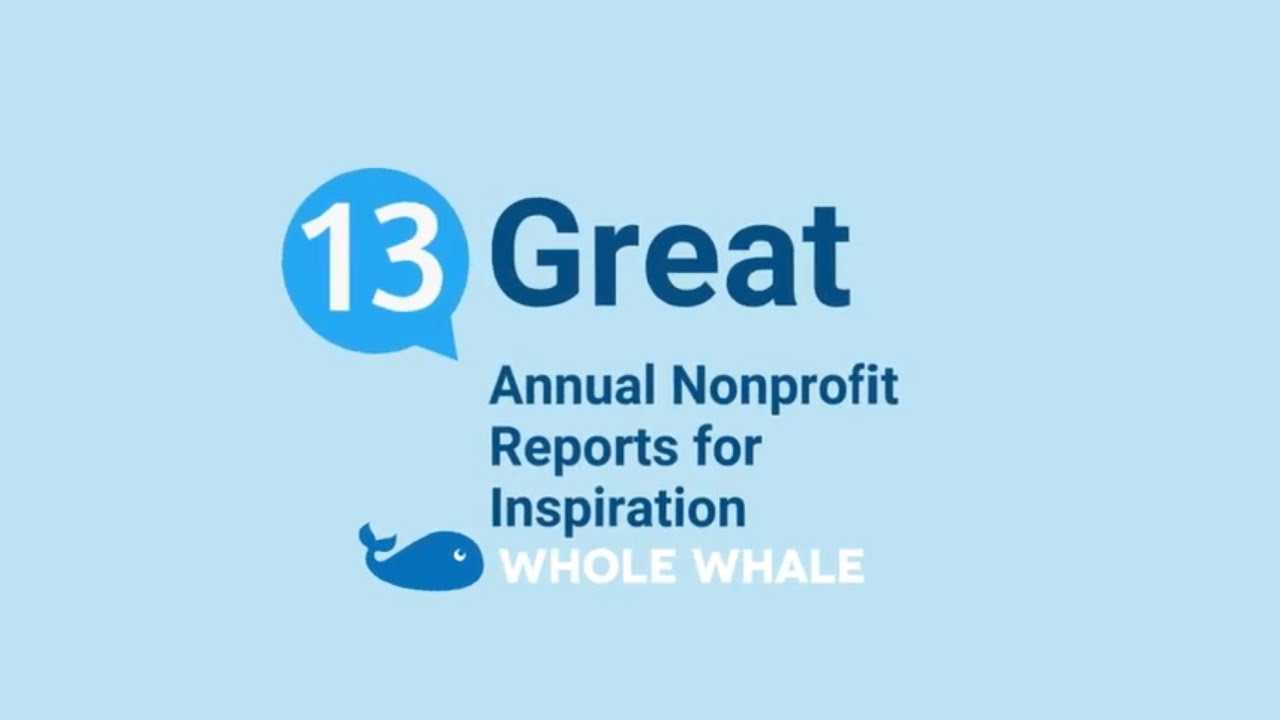 13+ Of The Best Nonprofit Annual Reports — With Ideas To With Non Profit Annual Report Template