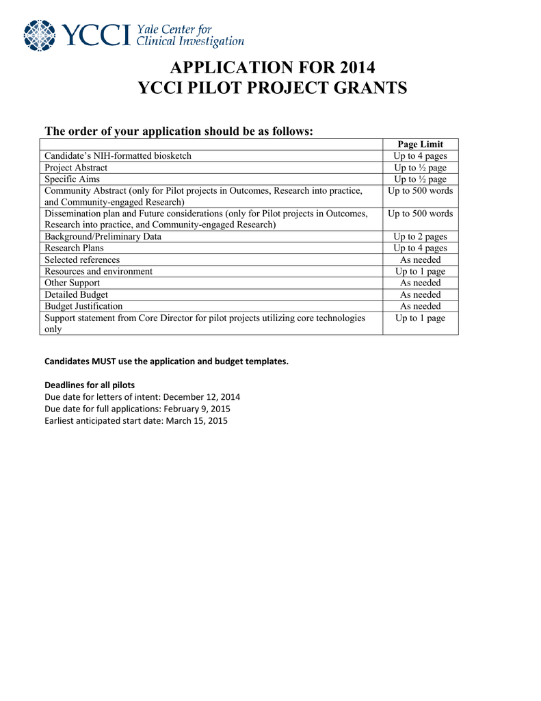 2014 Ycci Pilot Application Pertaining To Nih Biosketch Template Word