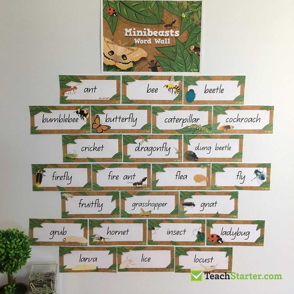 27 Practical Word Wall Ideas For The Classroom | Teach Starter Intended For Blank Word Wall Template Free