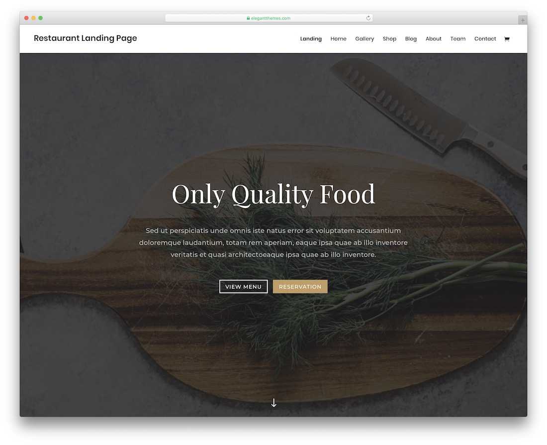 30 Best Food Website Templates That Satisfy All Food Lovers With Regard To Blank Food Web Template