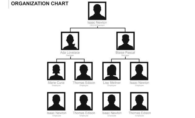 40 Organizational Chart Templates (Word, Excel, Powerpoint) within Organogram Template Word Free