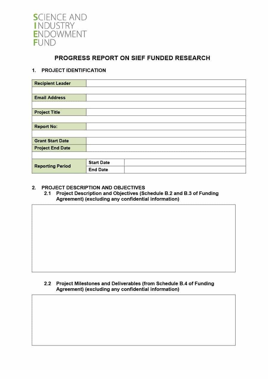 40+ Project Status Report Templates [Word, Excel, Ppt] ᐅ Throughout Funding Report Template
