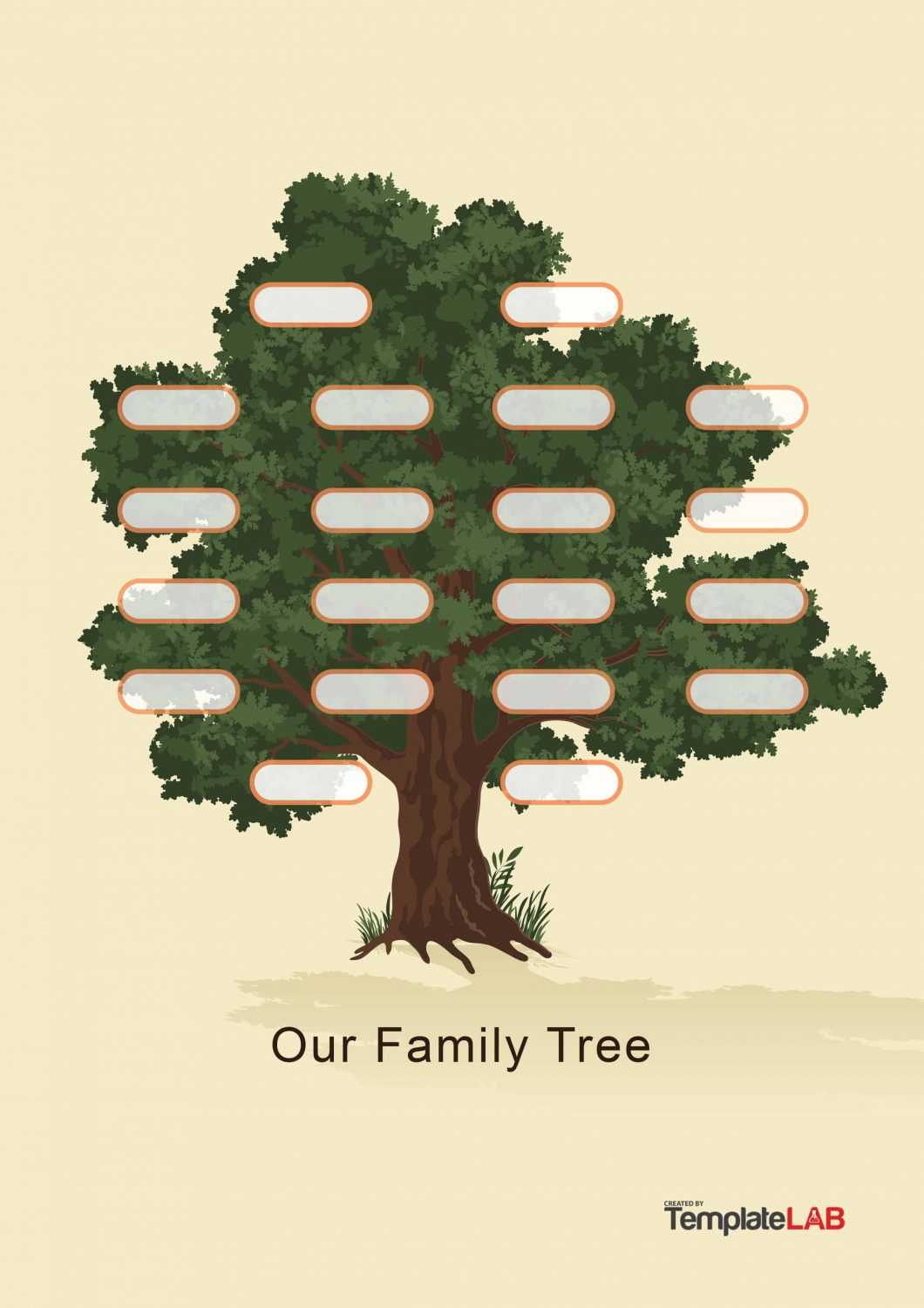 41+ Free Family Tree Templates (Word, Excel, Pdf) ᐅ Templatelab Pertaining To 3 Generation Family Tree Template Word