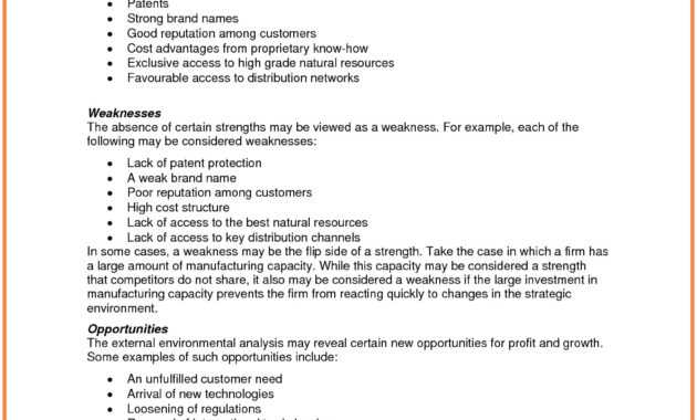 9+ Strategic Analysis Report Examples - Pdf | Examples pertaining to Strategic Analysis Report Template