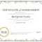 Achievement Award Certificate Template - Dalep.midnightpig.co within Blank Certificate Of Achievement Template