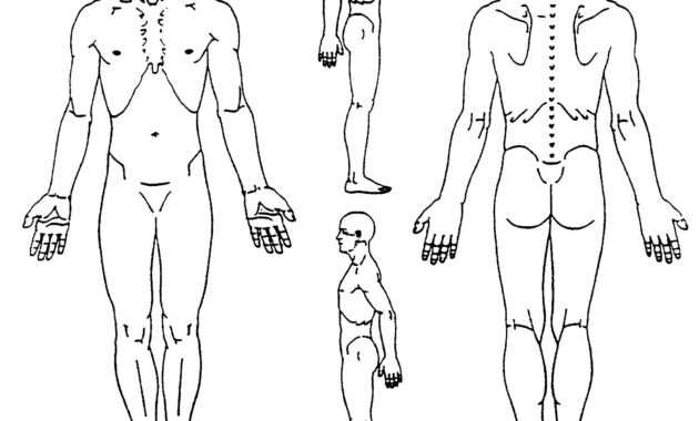 Blank Body Chart - Dalep.midnightpig.co regarding Blank Body Map Template