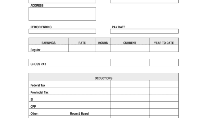 Blank Check Stubs - Dalep.midnightpig.co with Pay Stub Template Word Document