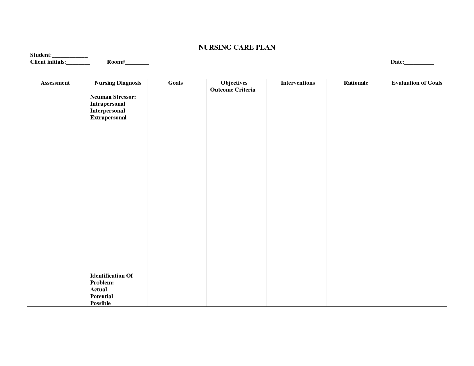 Care Plan Essay Help Correct Paper With Nursing Care Plan Templates Blank