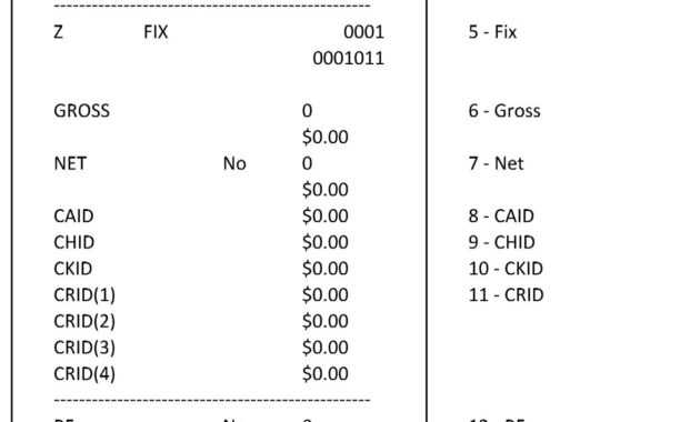 Casio Standard Daily Z Report - Cash Registers Made Easy intended for End Of Day Cash Register Report Template