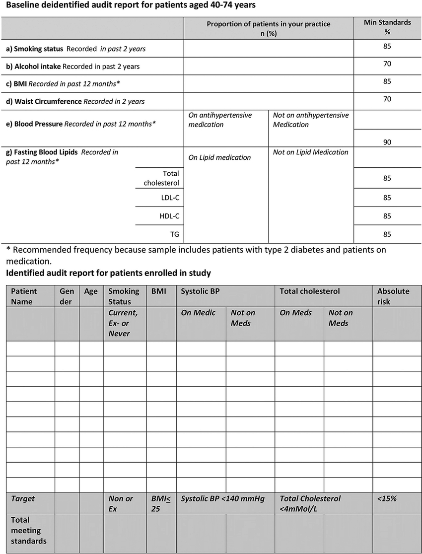 Clinical Audit Reports. Bmi, Body Mass Index, Bp, Blood Intended For Data Center Audit Report Template