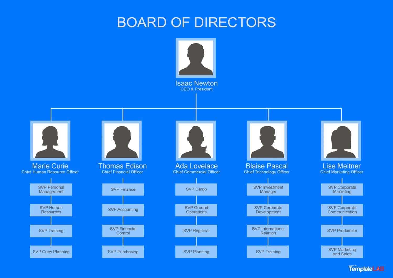 Committee Organization Chart Template – Duna With Regard To Word Org Chart Template