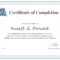 Course Completion Certificate Format Word – Calep.midnightpig.co With Regard To Training Certificate Template Word Format
