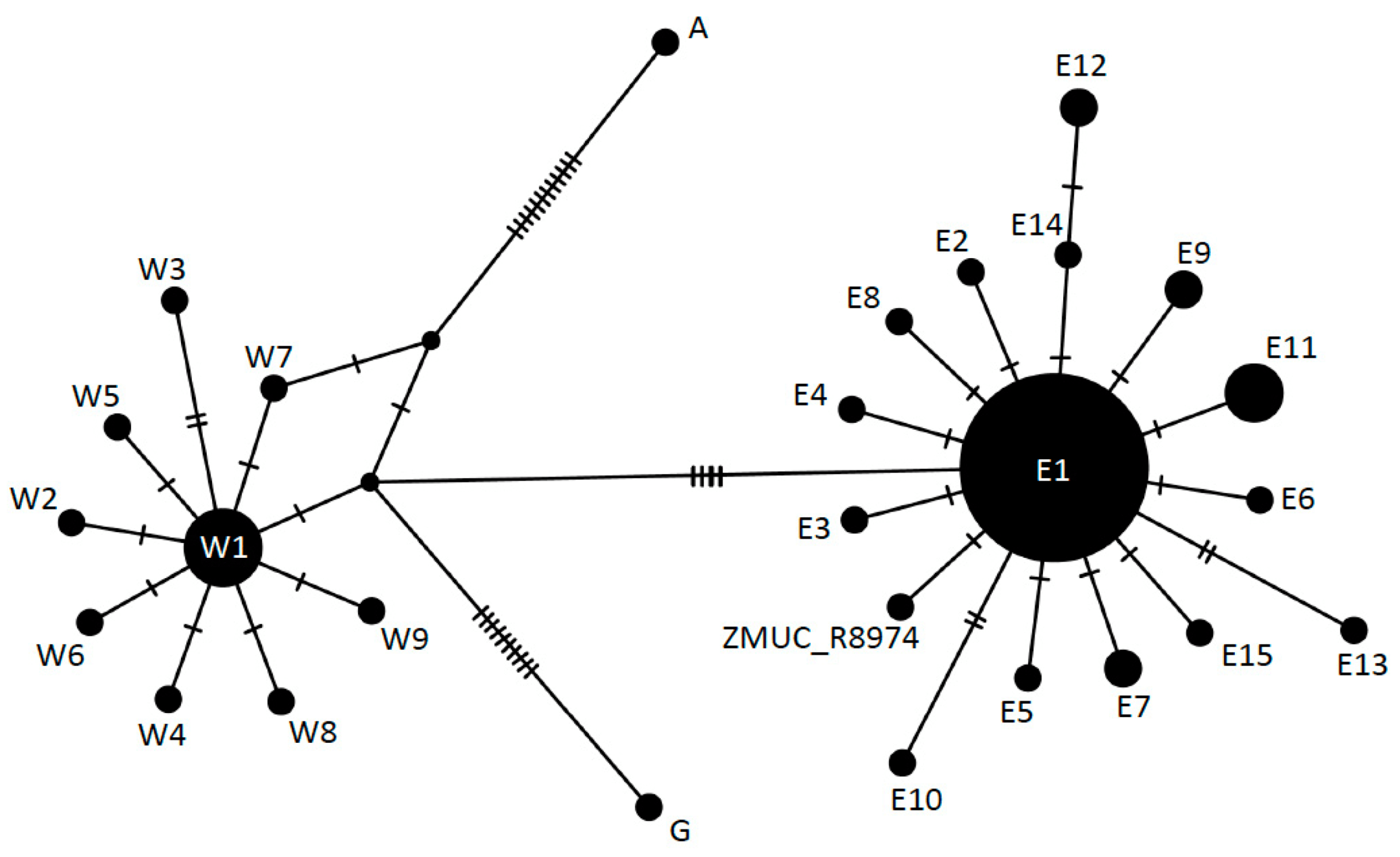 Diversity | Free Full Text | Centuries Old Dna From An Inside Blank Performance Profile Wheel Template