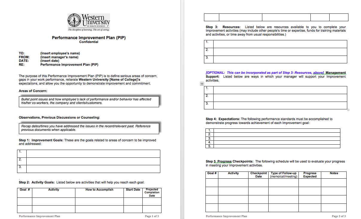 Examples Of Performance Improvement Plans For Employees With Performance Improvement Plan Template Word