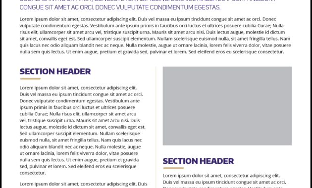 Fact Sheet Layout - Dalep.midnightpig.co intended for Fact Sheet Template Microsoft Word
