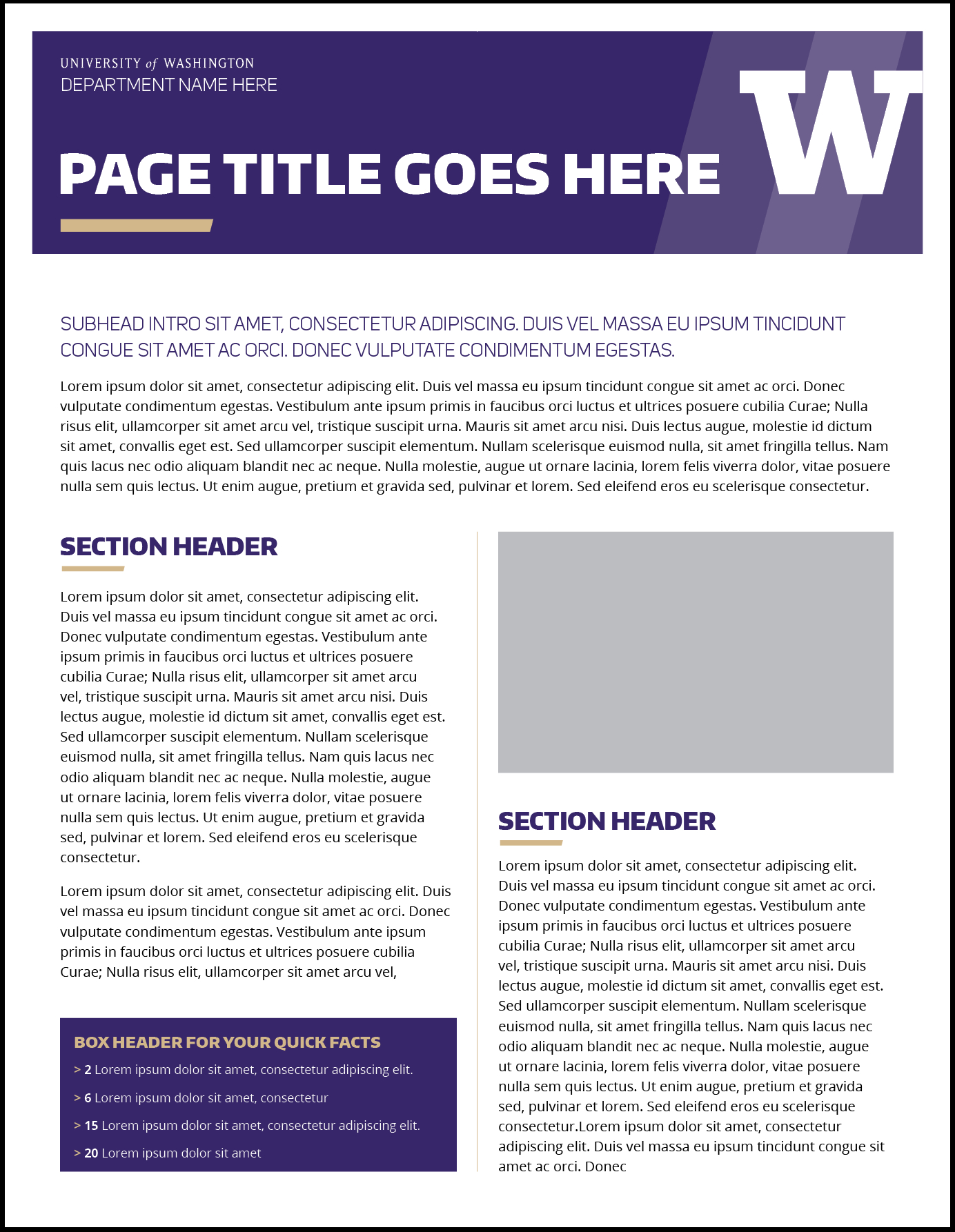 Fact Sheet Layout – Dalep.midnightpig.co Intended For Fact Sheet Template Microsoft Word