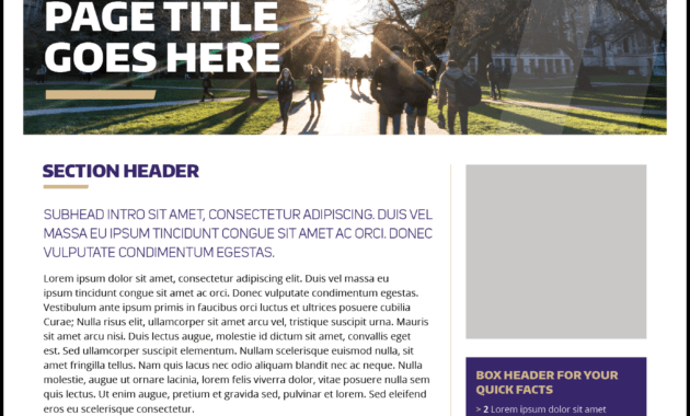 Fact Sheet | Uw Brand intended for Fact Sheet Template Word