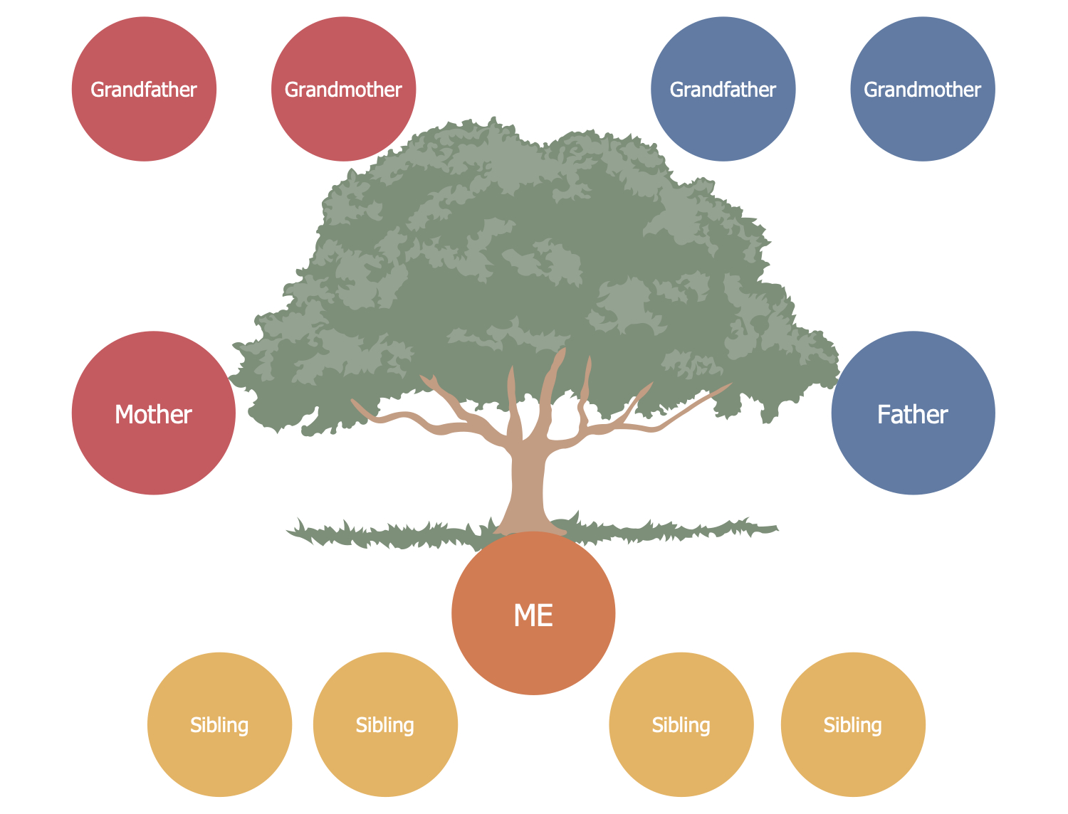 Family Tree Solution | Conceptdraw Intended For Blank Family Tree Template 3 Generations