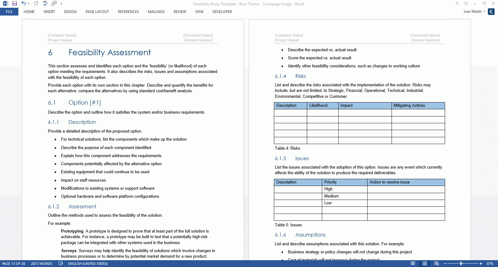 Feasibility Study Templates (Ms Word) – Templates, Forms With Regard To Technical Feasibility Report Template