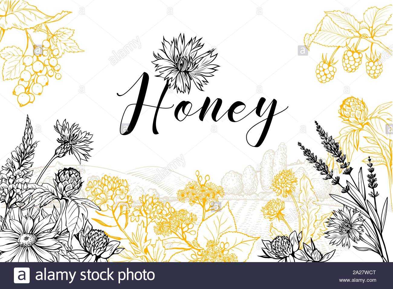 Flower Honey Vector Hand Drawn Banner Template. Natural Intended For Homemade Banner Template