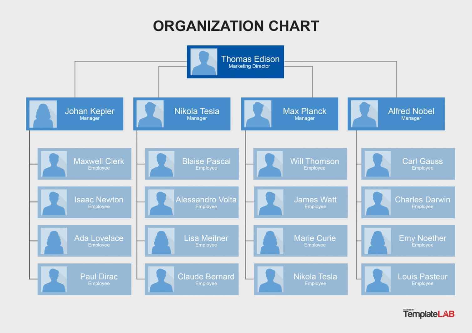 Free Organizational Chart Templates | Template Samples In Organogram Template Word Free