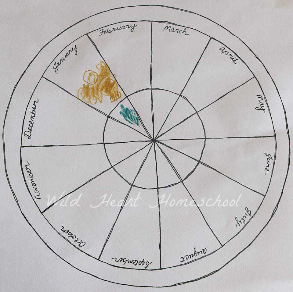 Free Phenology Wheel Template For Australia – Wild Heart Inside Blank Wheel Of Life Template