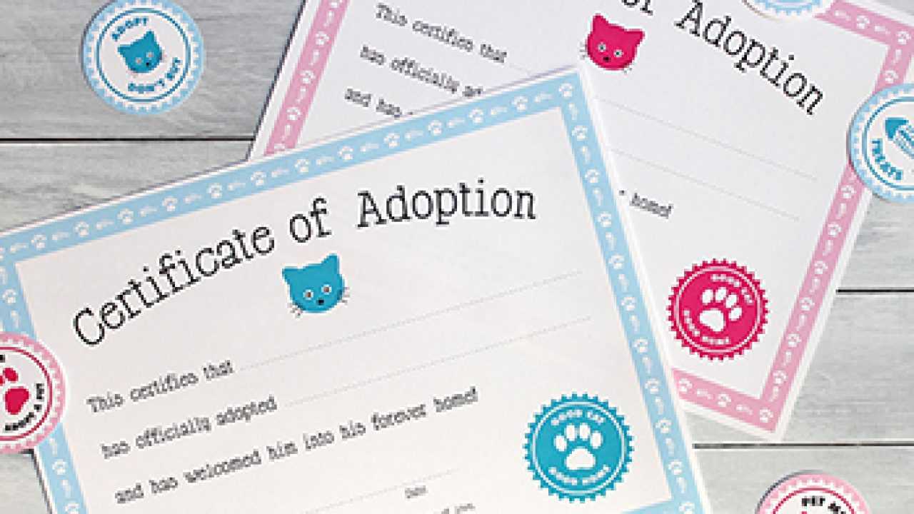 Free Printable Cat Adoption Kit | Chickabug Inside Blank Adoption Certificate Template
