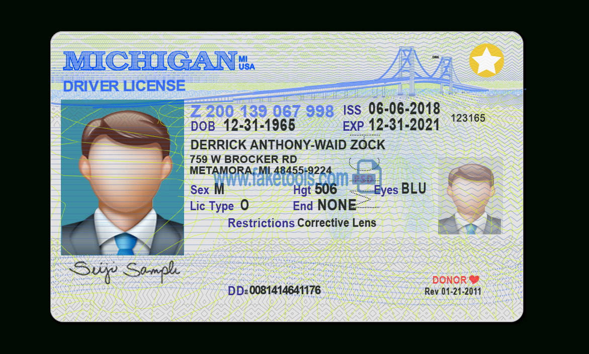 Michigan Driver License Psd Template With Regard To Blank Drivers License Template