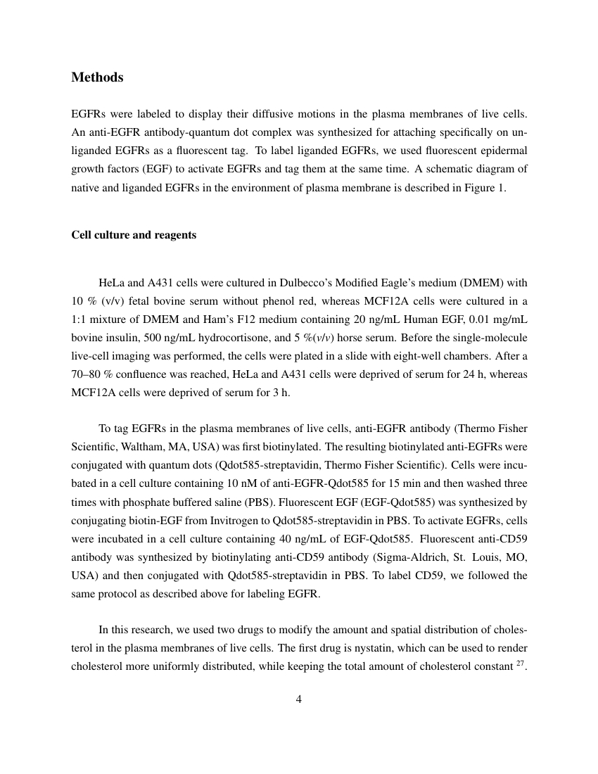 Nature – Scientific Reports Template Regarding Scientific Paper Template Word 2010