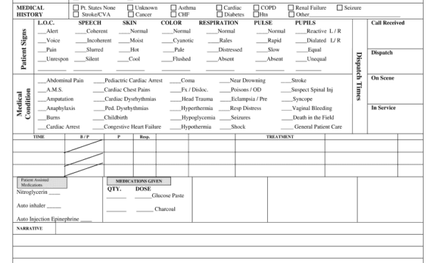 Patient Report Template - Calep.midnightpig.co in Patient Care Report Template