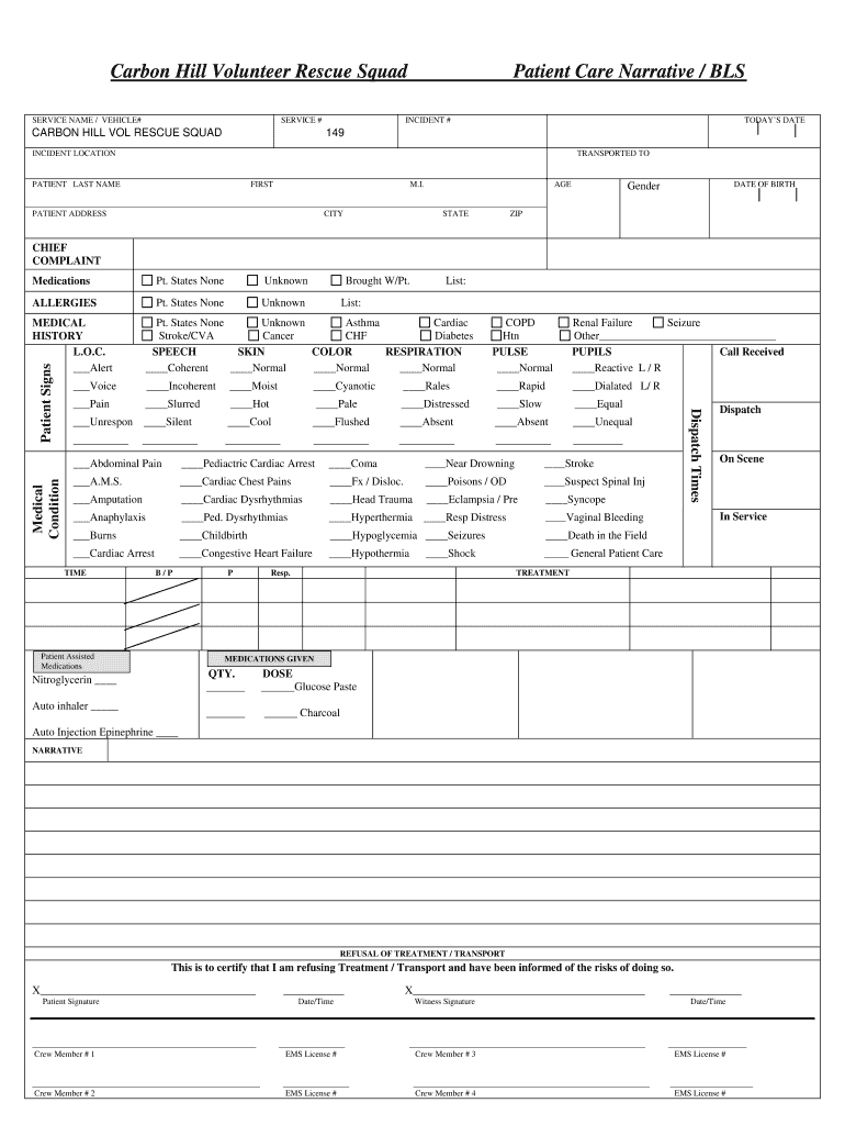 Patient Report Template - Calep.midnightpig.co In Patient Care Report Template