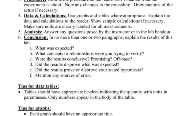 Physics Lab Template - Dalep.midnightpig.co throughout Physics Lab Report Template