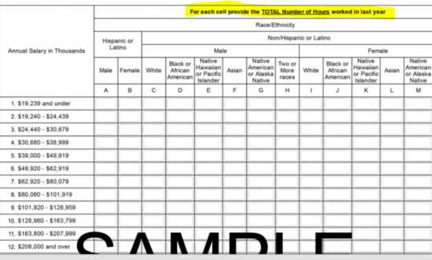 Prepare Now For Next Eeo-1 Component regarding Eeo 1 Report Template