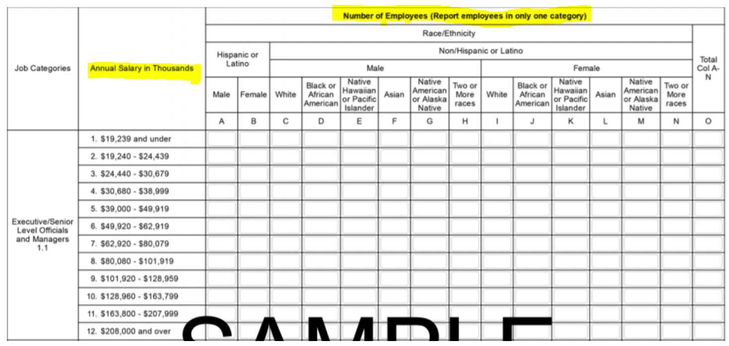 Prepare Now For Next Eeo 1 Component With Eeo 1 Report Template