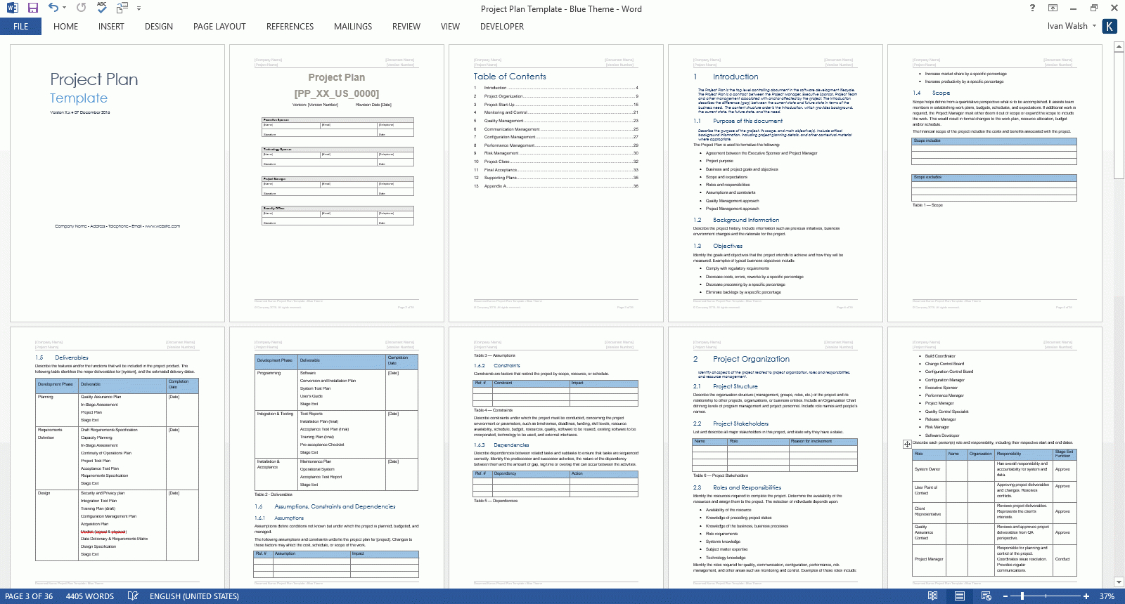 Project Plan Templates – Ms Word + 10 X Excels Spreadsheets Throughout Ms Word Templates For Project Report
