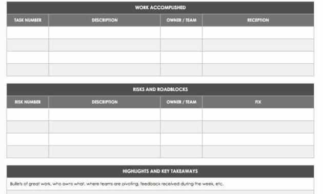 Project Status Report Templates - Dalep.midnightpig.co within Weekly Progress Report Template Project Management