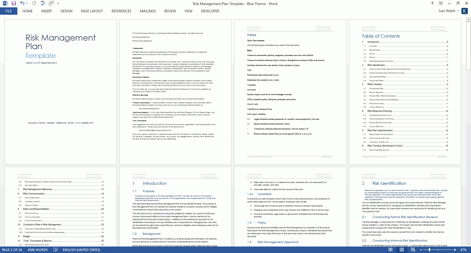 Risk Management Plan Templates Inside Risk Mitigation Report Template