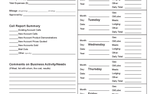 Sales Call Report Template - 3 Free Templates In Pdf, Word in Sales Call Reports Templates Free