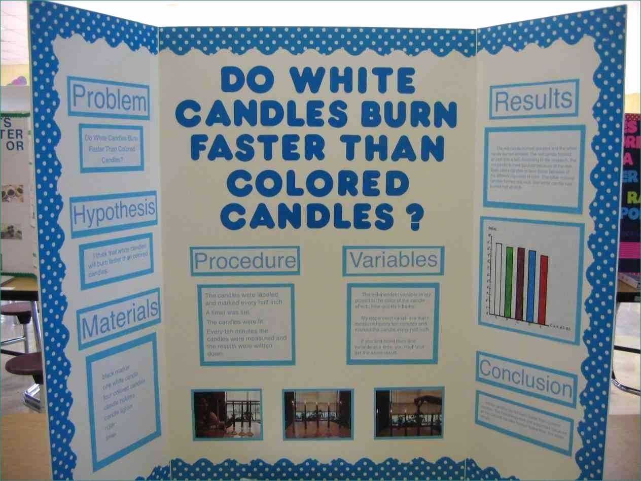 Science Project Layout Board – Calep.midnightpig.co With Regard To Bulletin Board Template Word