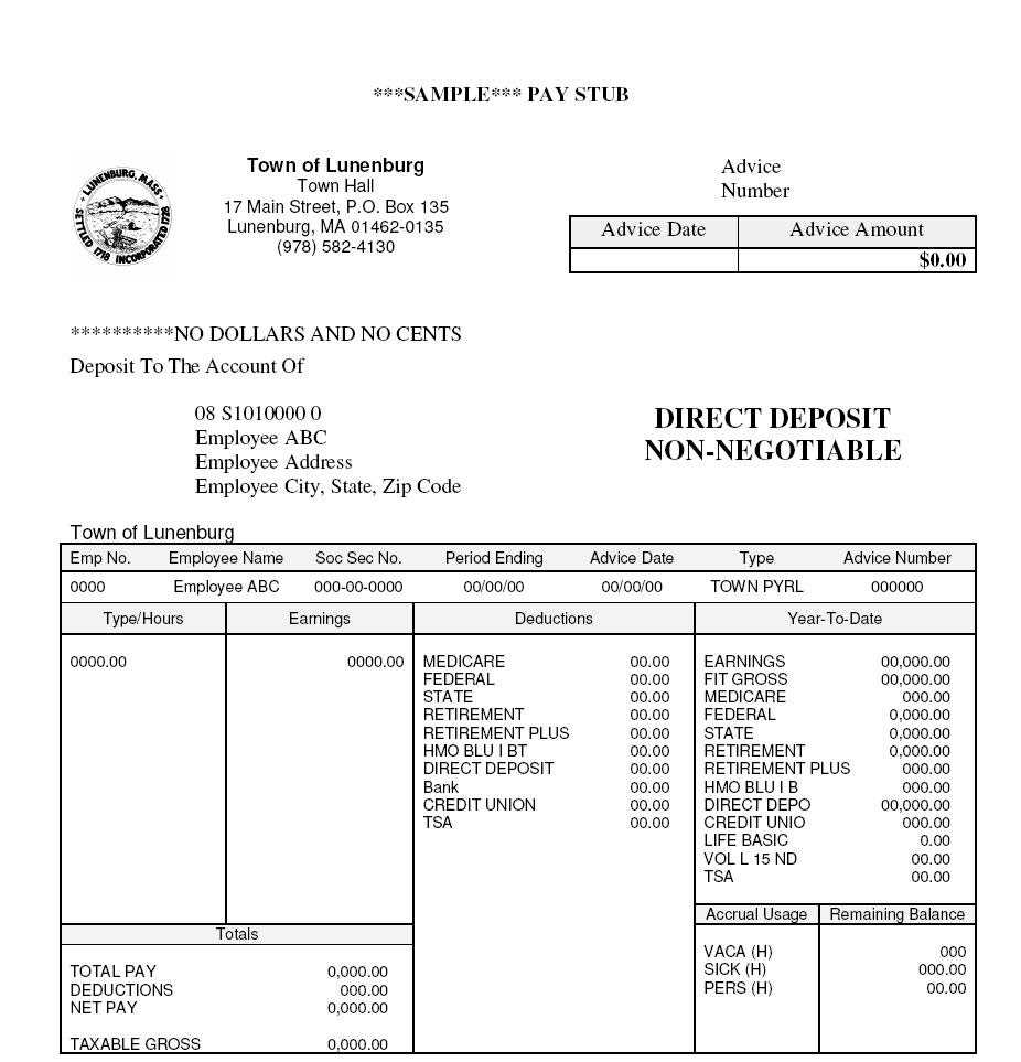 Simple Pay Stub Template Document Sample : V M D In Pay Stub Template Word Document