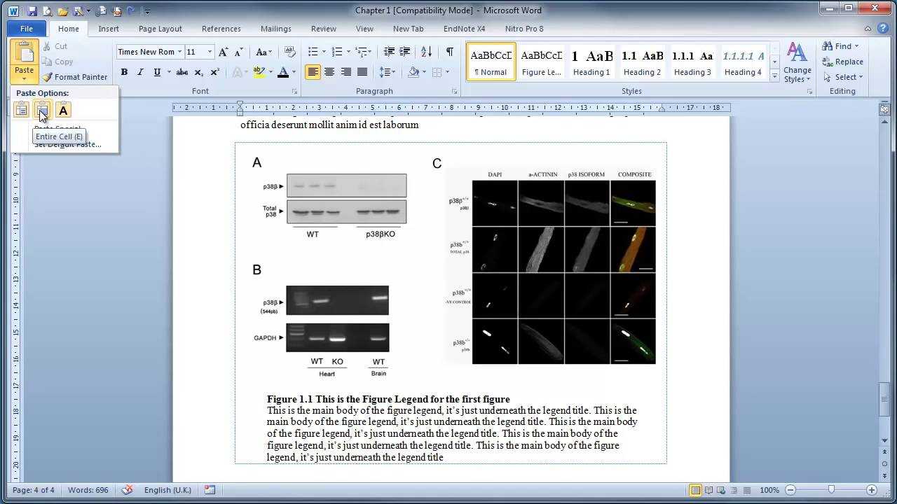 Thesis Writing In Microsoft Word : Inserting Figures And Legends Throughout Ms Word Thesis Template