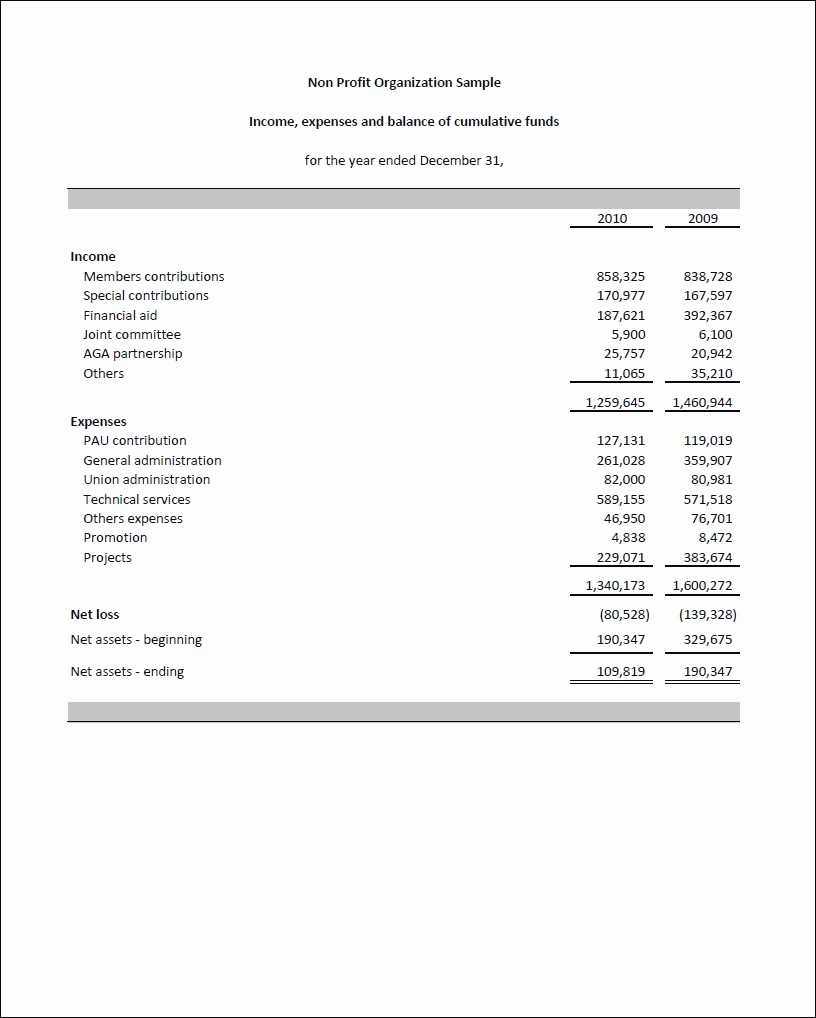 Treasurer S Report Template – Calep.midnightpig.co For Non Profit Treasurer Report Template